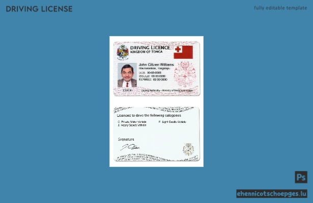 Beispiel für einen tongaischen Führerschein